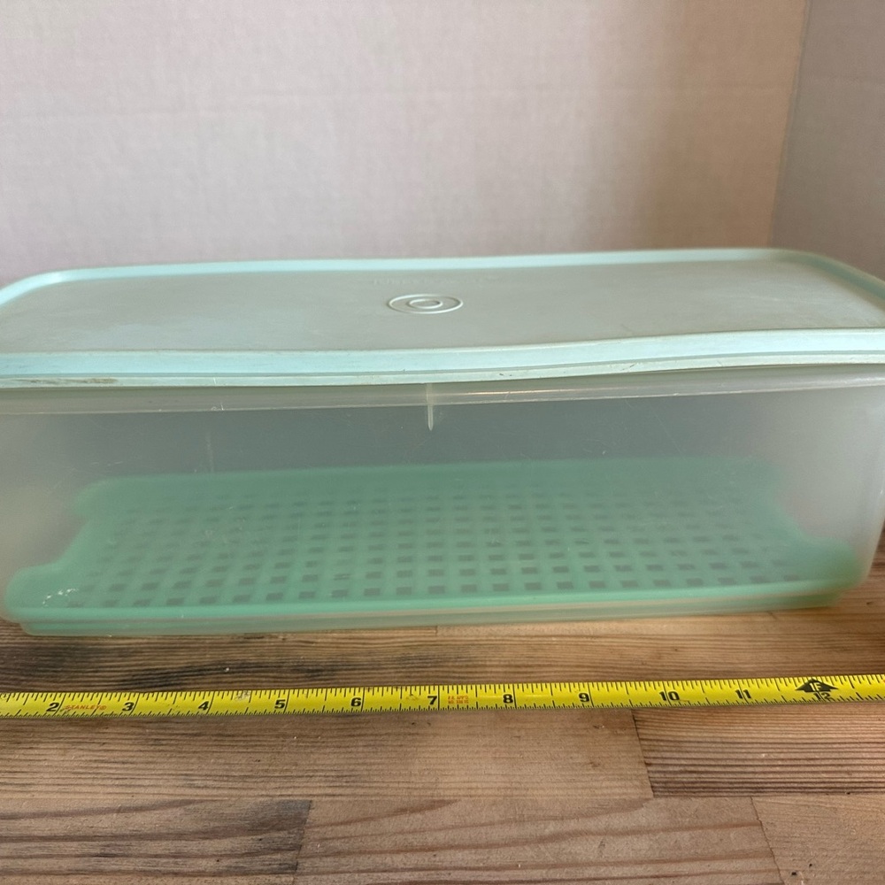 Tupperware Green and White celery or vegetable Storage Container 782-8